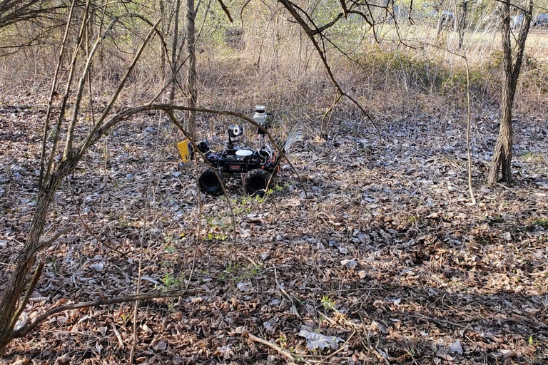 Soil sampling
