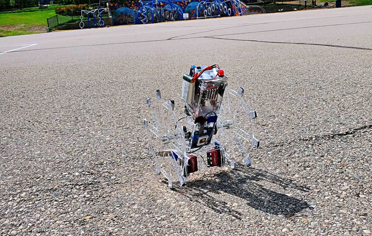 Torsobot system overview